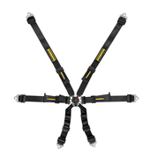 SCHROTH FHR specifi c 6-point Profi harness