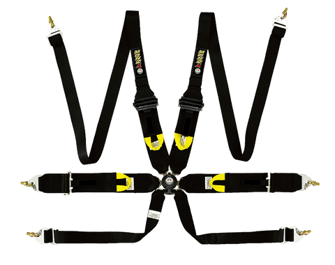 FIA HANS Harness 